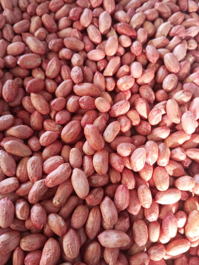 Peanuts