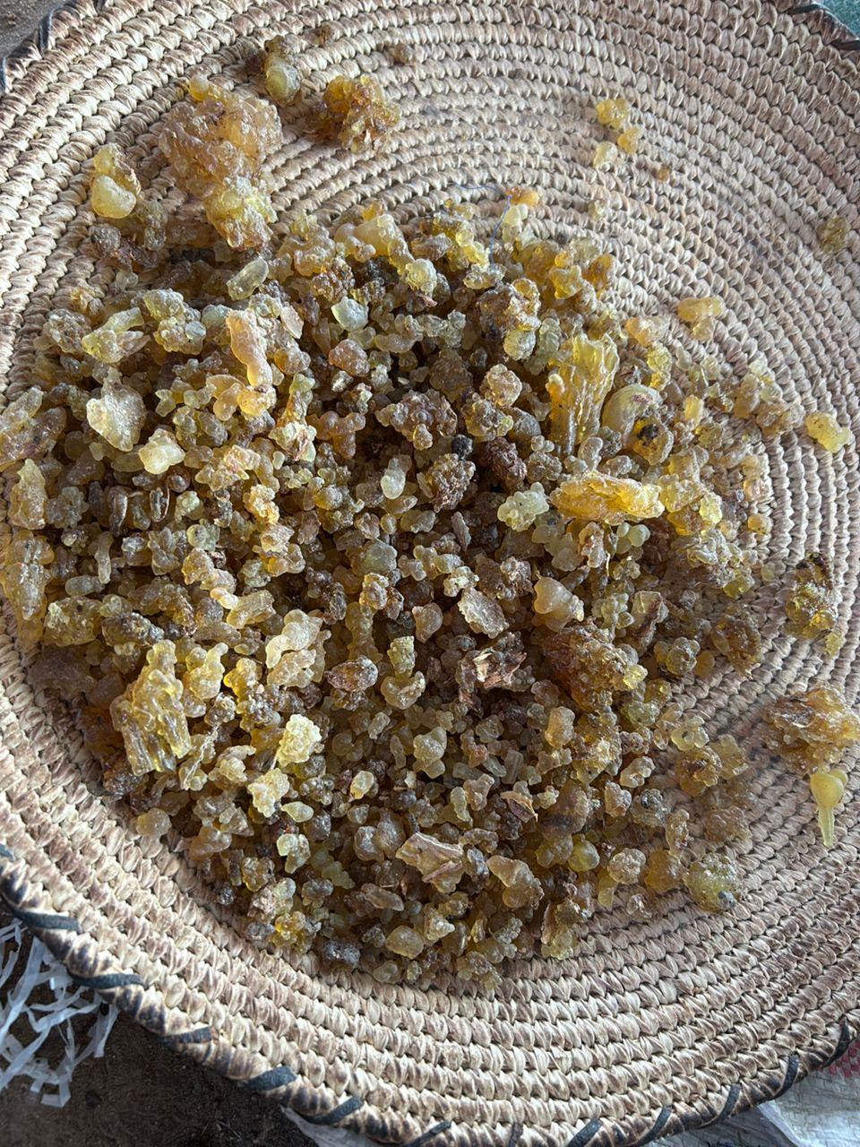 Gum Arabic