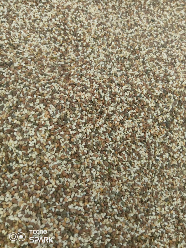 Full Mixed sesame seeds